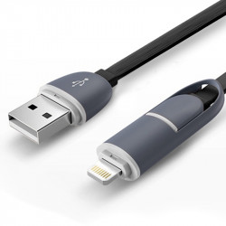Chargeur Secteur Auto Câble Lightning motif CV02 pour Apple iPad Air, iPad Pro