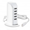 Chargeur Secteur Adaptateur 5 Ports USB pour Smartphones et Tablettes